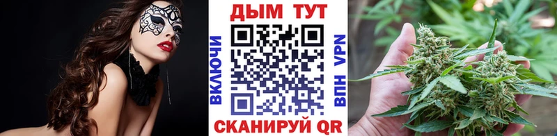 Конопля сатива  Партизанск 